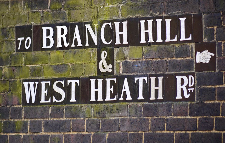 A brick wall with a rounded arch at its base, featuring a metal grid covering an opening beneath it. The wall displays a street sign with black and white lettering indicating directions to 'Branch Hil